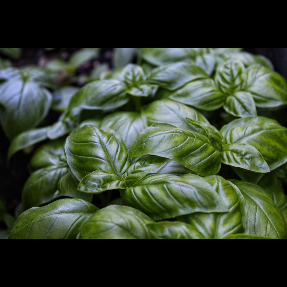 Winter Clear Out is Here! CLEARANCE